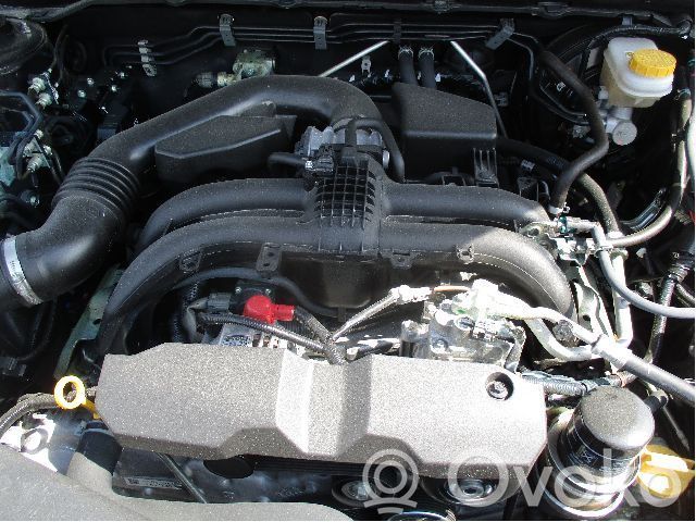Engine   10103AC560