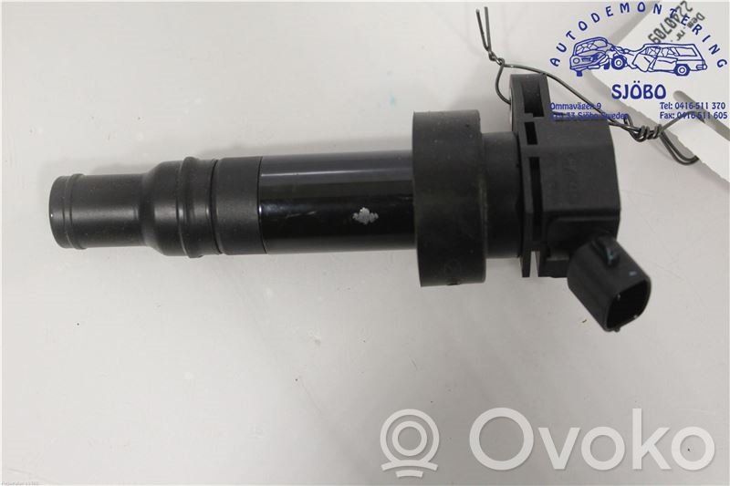 High voltage ignition coil   273012B100,273012B100,273012B100