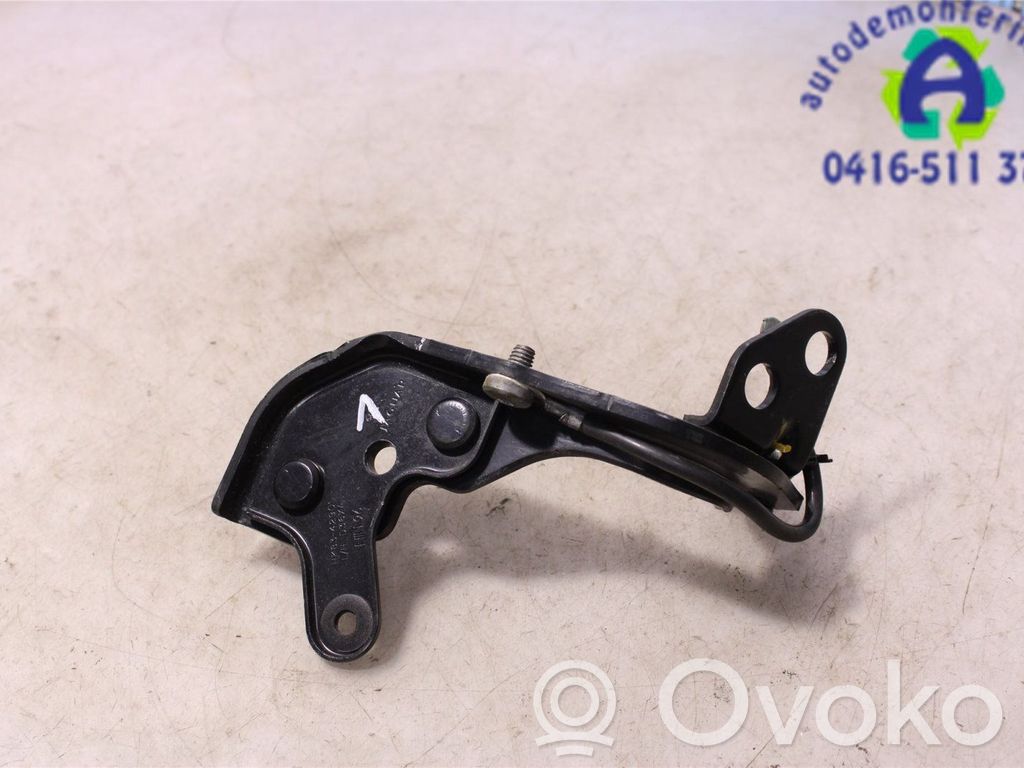 Jaguar F-Pace Tailgate/trunk/boot hinge 
