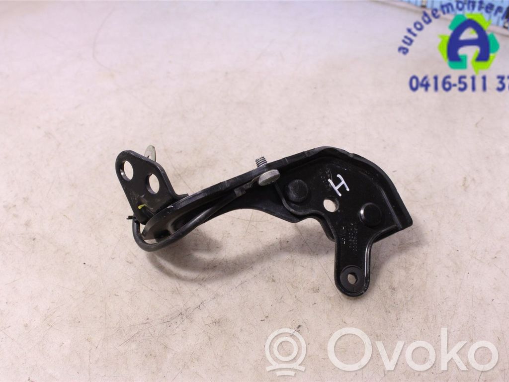 Jaguar F-Pace Tailgate/trunk/boot hinge 