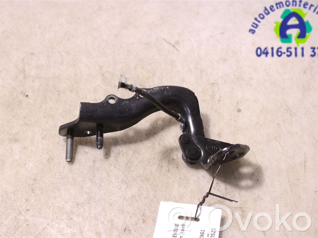 Tailgate/trunk/boot hinge   LR088975,GJ3242900,GJ3242900