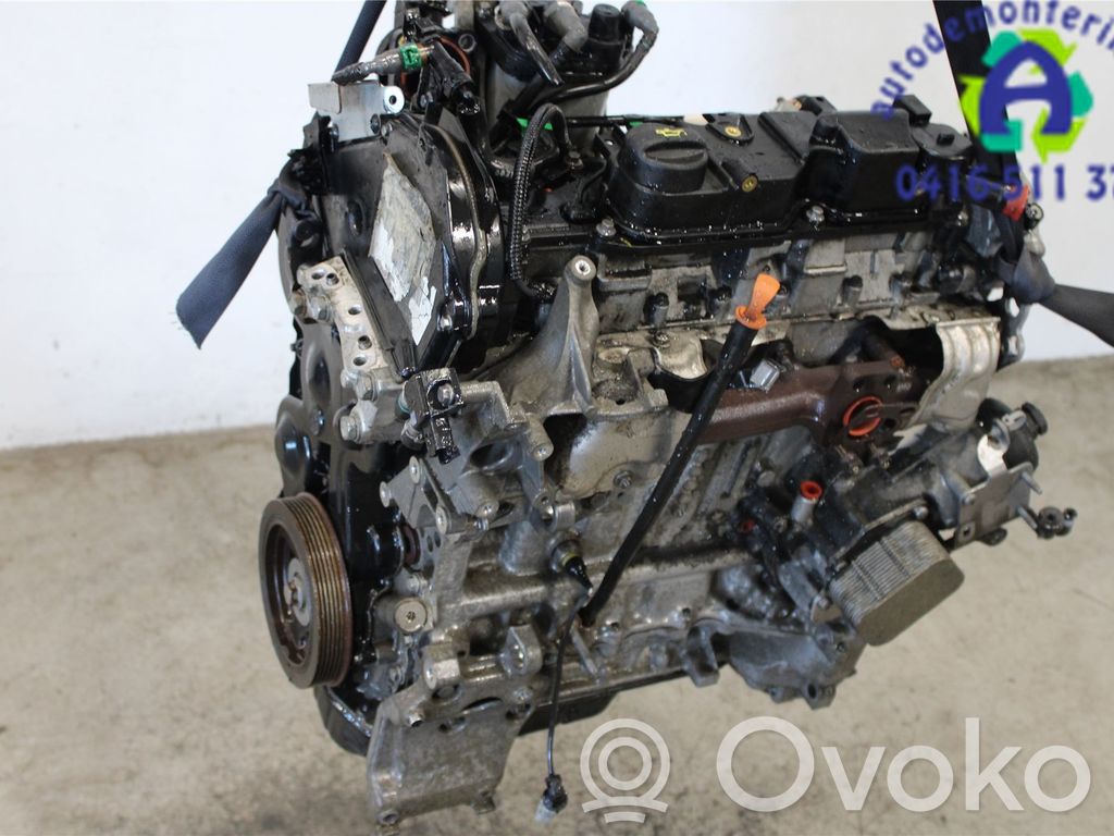 Motor   0135RG