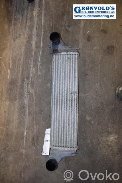 Radiador intercooler   17512247966,17512247966