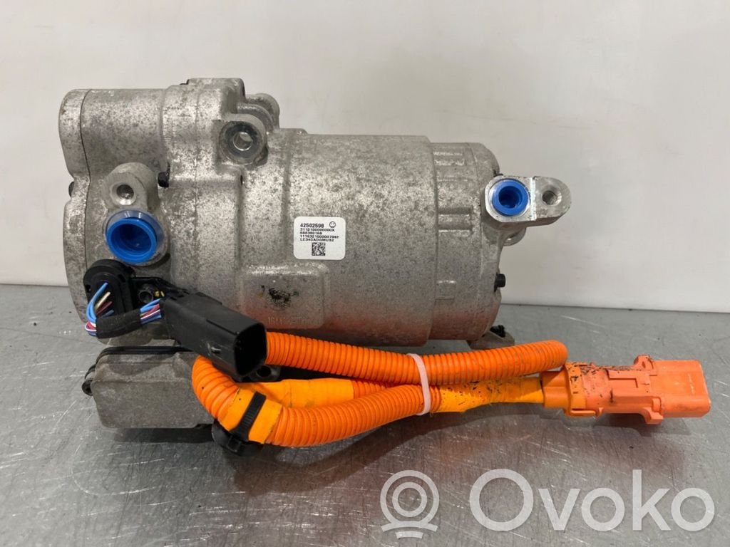 Opel Ampera- E Air conditioning (A/C) compressor (pump) 