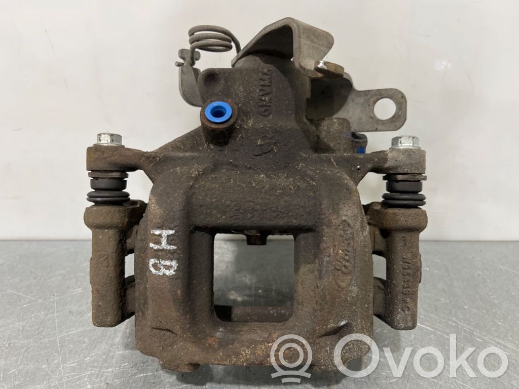Takajarrusatula   2345683,2345683