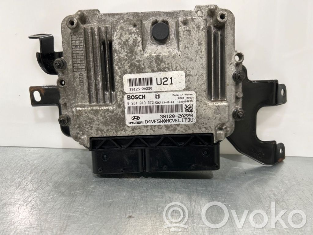 Engine control unit/module ECU   391202A220,391202A220,391202A220,0281019572,391202A220