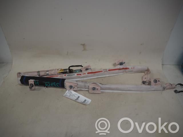 Airbag del techo   100526200D,100526200D