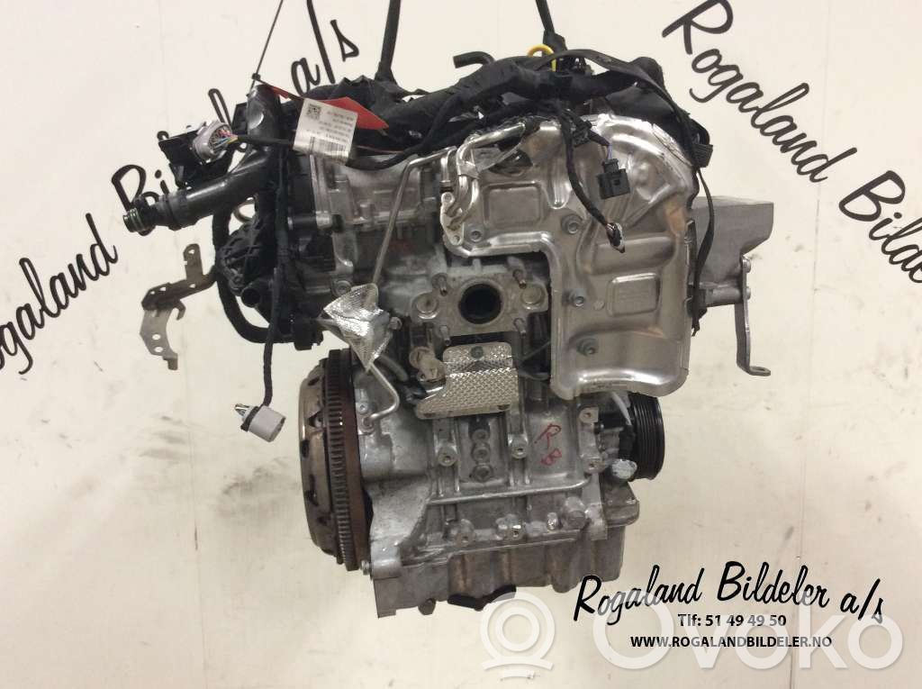 Volkswagen Polo V 6R Engine 