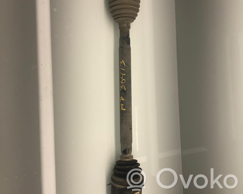 Galinis pusašis   100771901A,100771901A