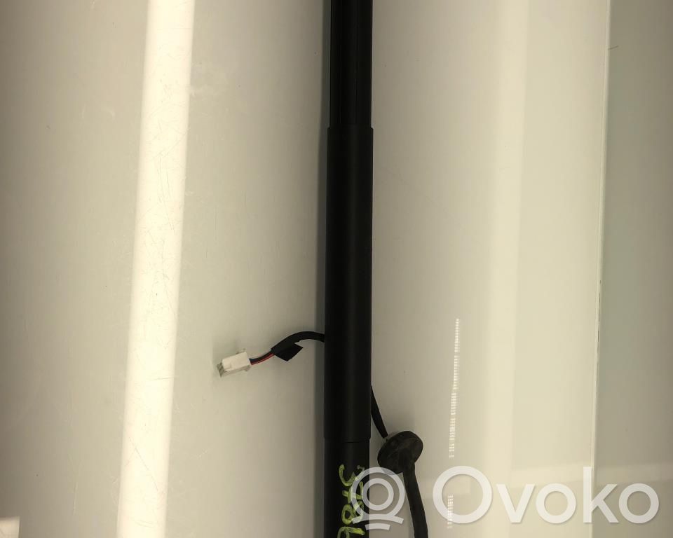 Tesla Model Y Aizmugurējā pārsega pievilcējs 