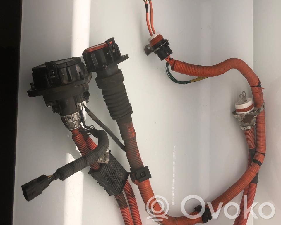 Nissan Leaf I (ZE0) Kabel wysokiego napięcia 