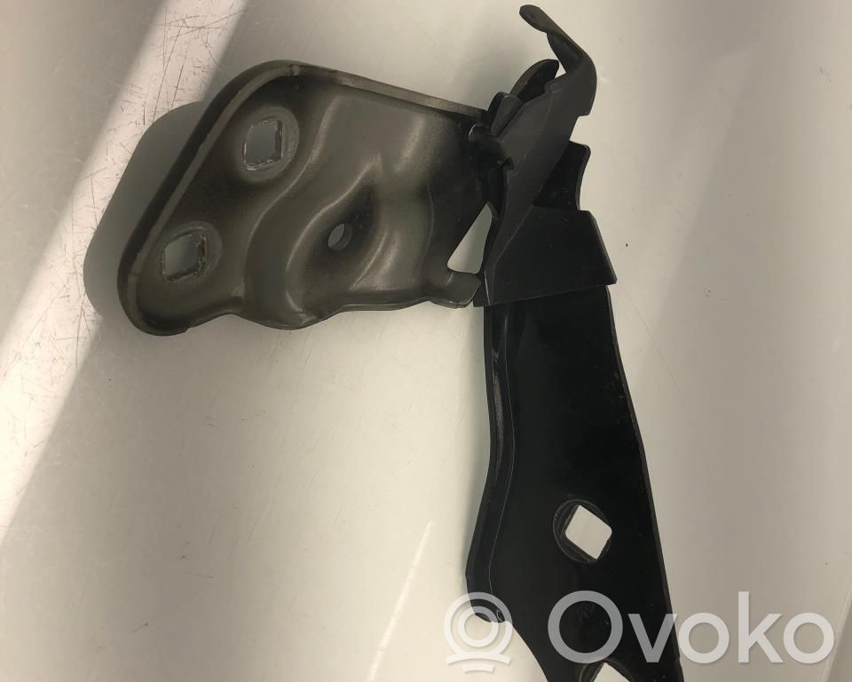 Tesla Model 3 Engine bonnet/hood hinges 