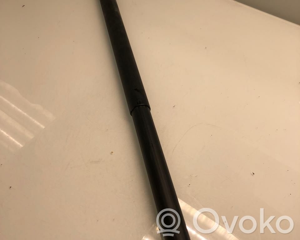Ford Mustang Mach-E Tailgate/trunk strut/damper 