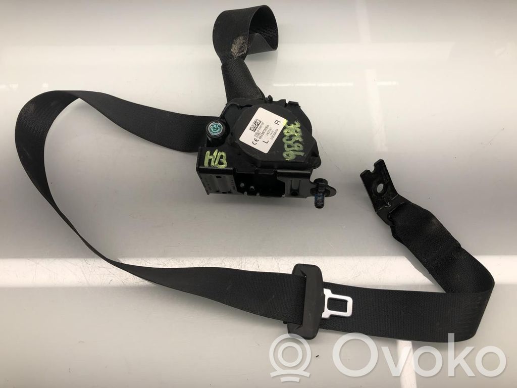 Tesla Model Y Cinturón trasero 
