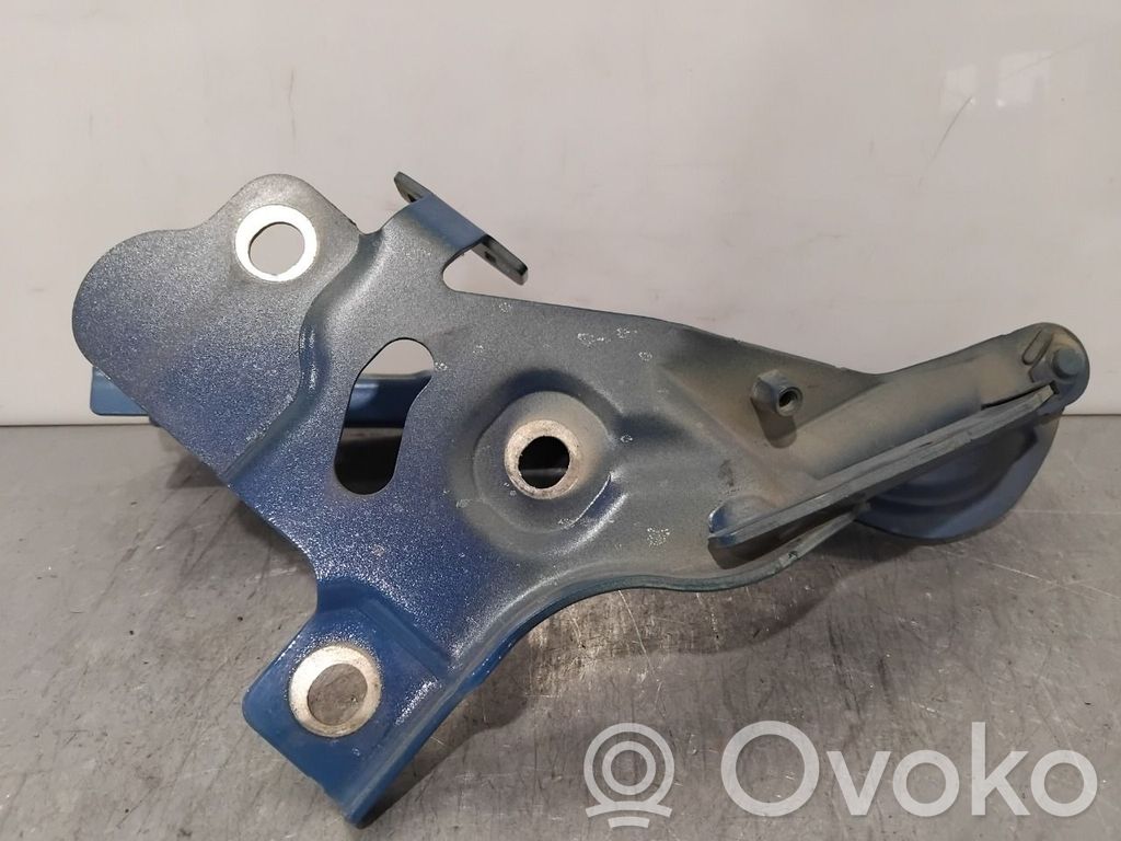 Audi e-tron Engine bonnet/hood hinges 