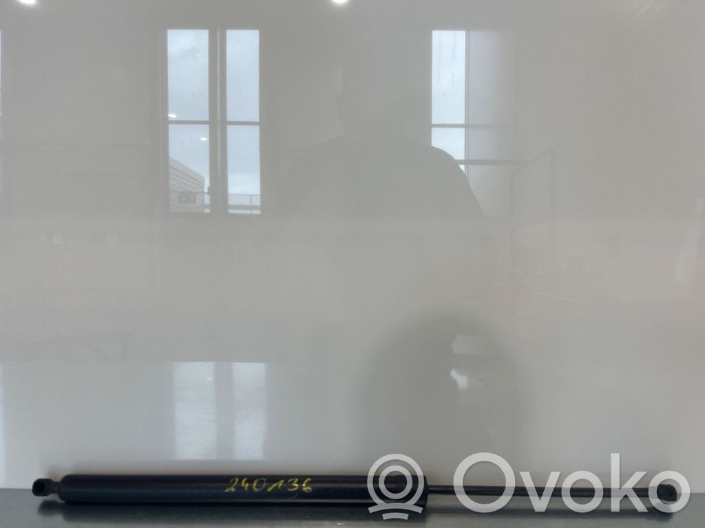 Peugeot Expert Amortizor hayon 