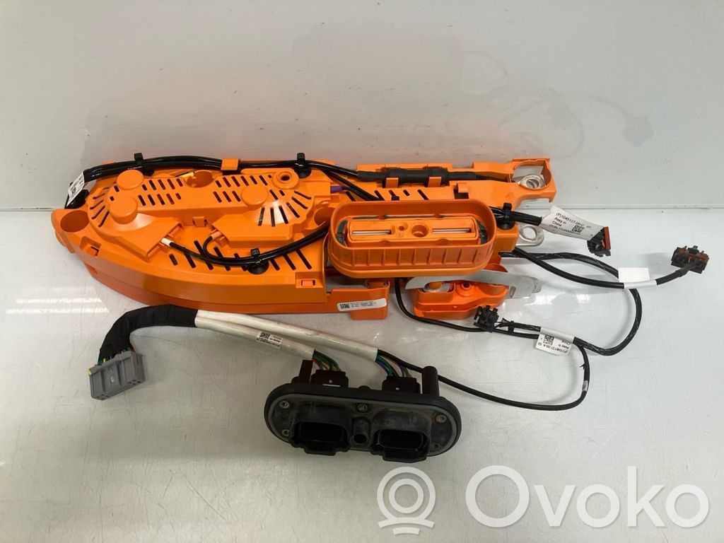 Tesla Model S Other control units/modules 