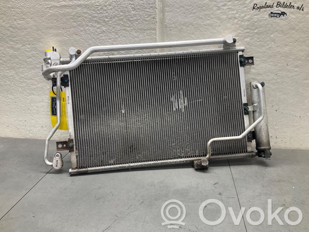 Hyundai Ioniq Radiator lichid răcire 