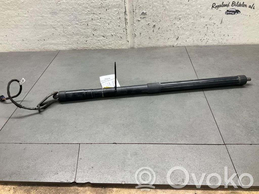 Porsche Cayenne (9PA) Tailgate/trunk/boot lift motor 