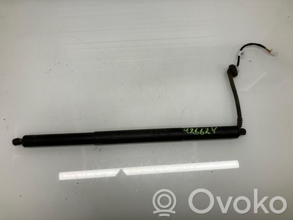 Tesla Model Y Aizmugurējā pārsega pievilcējs 