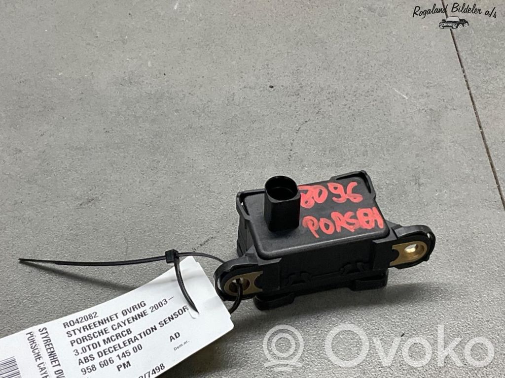 Porsche Cayenne (9PA) Otras unidades de control/módulos 