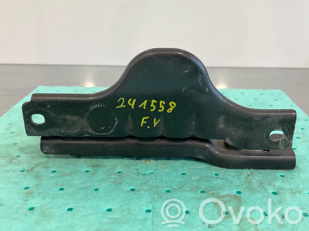Tesla Model S Balamale capotă 