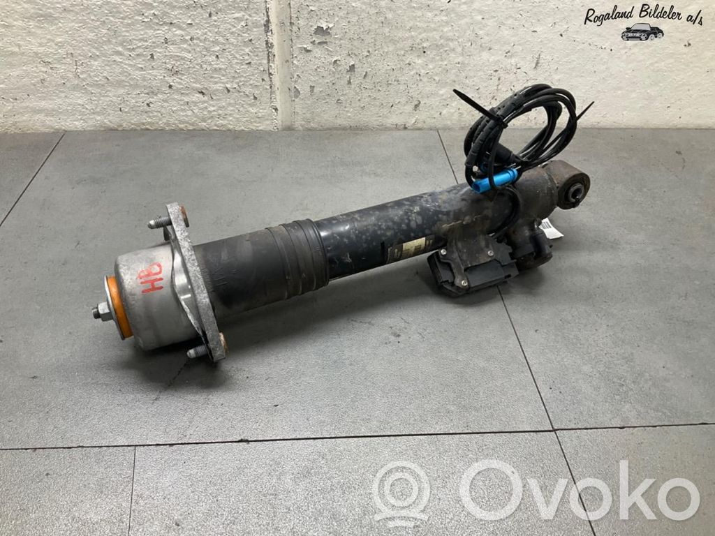 BMW X6 E71 Stoßdämpfer hinten 