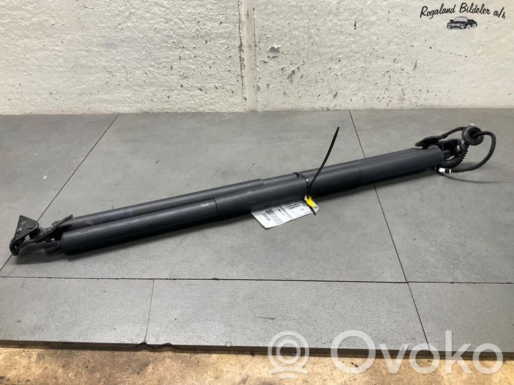 Ford S-MAX Tailgate/trunk strut/damper 