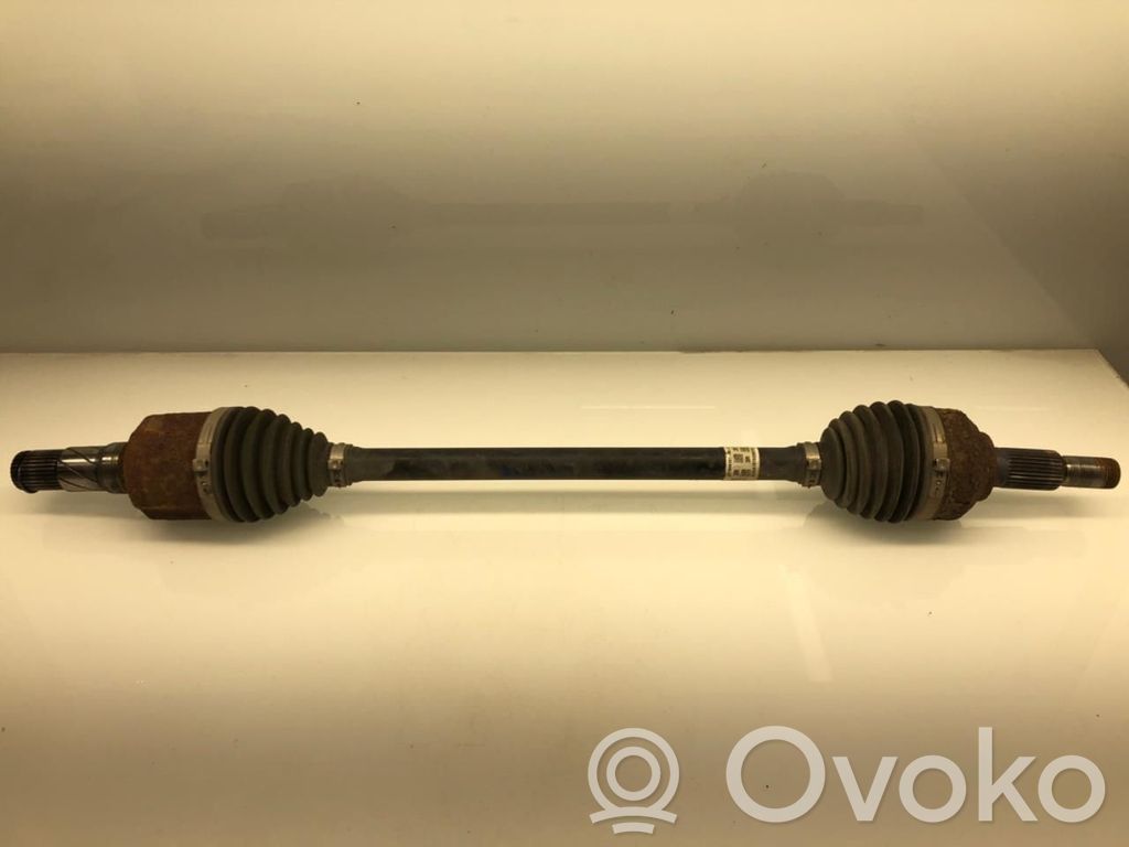 Tesla Model 3 Galinis pusašis 