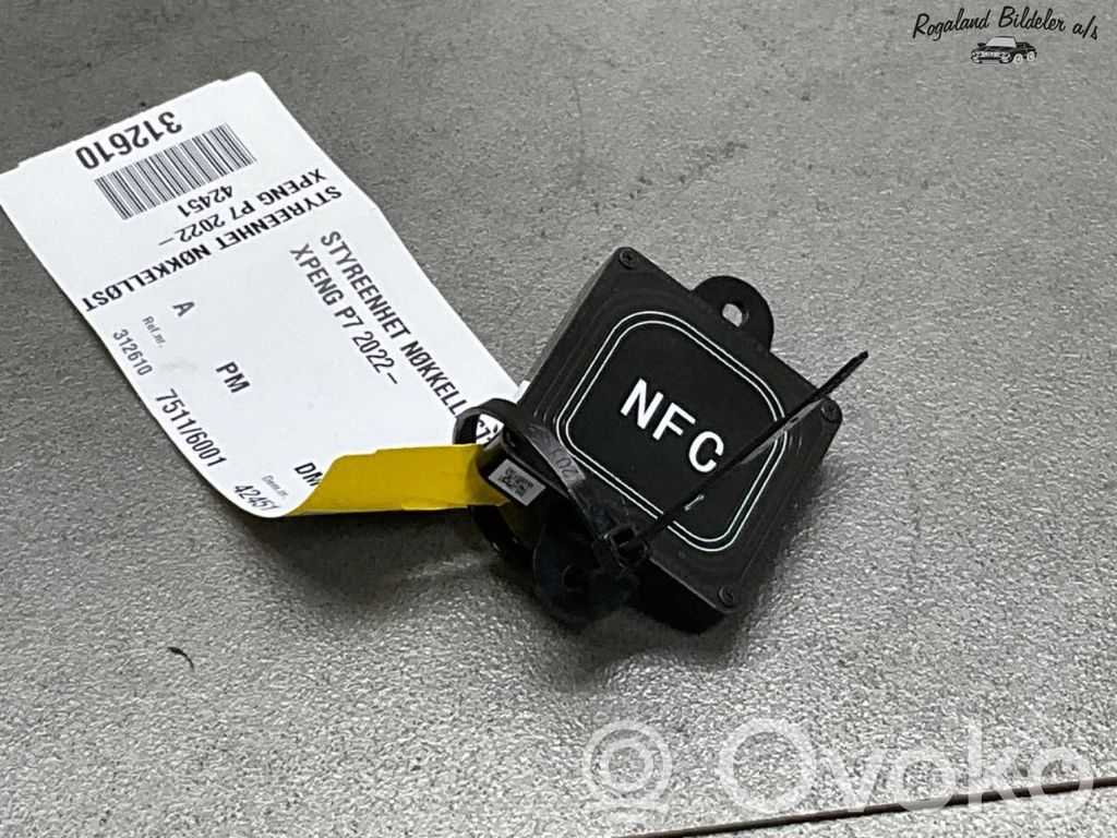 XPeng P7 Unidad de control/módulo del control remoto 