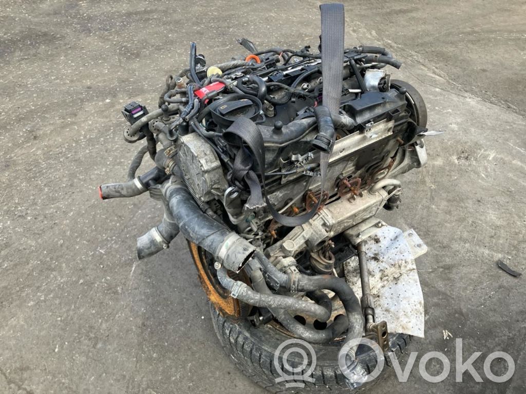 Skoda Octavia Mk2 (1Z) Engine 