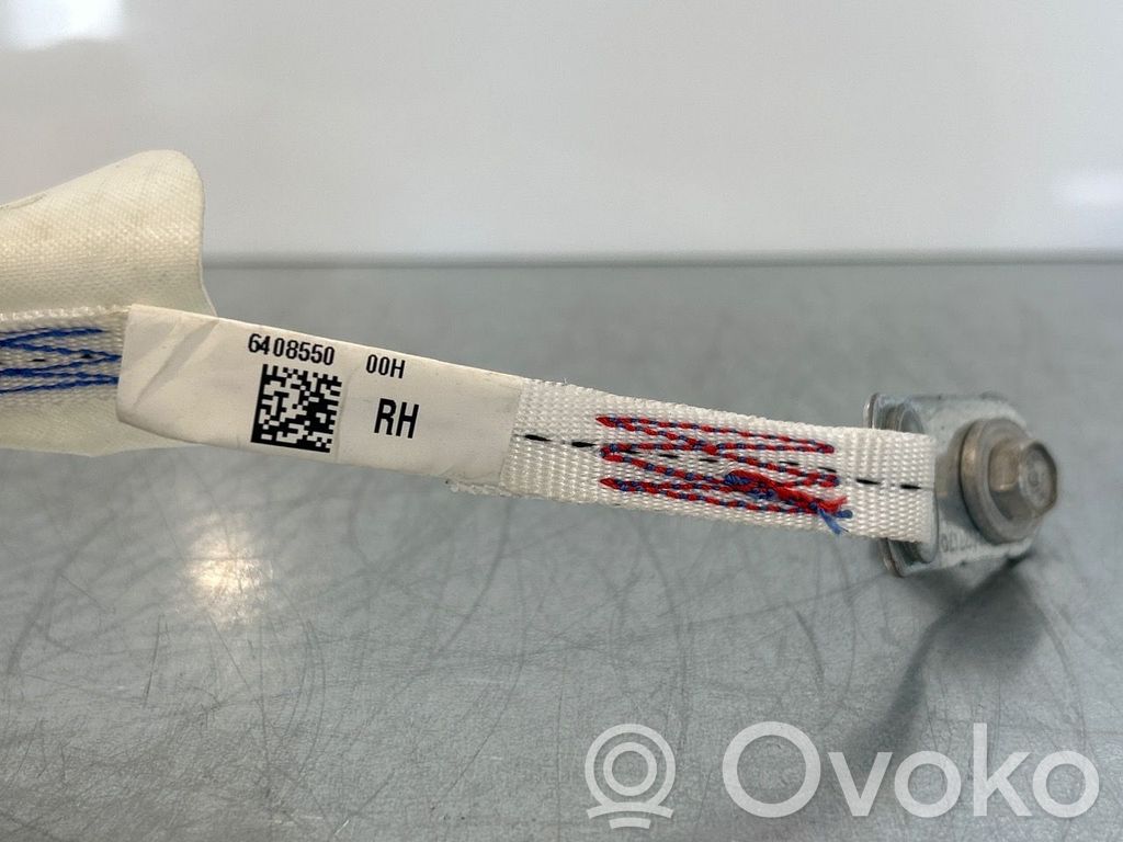 Tesla Model 3 Airbag del techo 