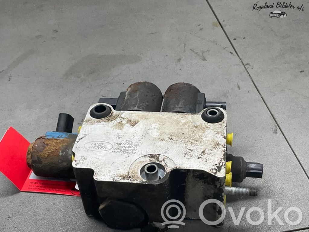 Land Rover Range Rover Sport L320 Front anti-roll bar/stabilizer link 