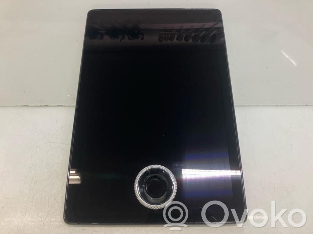 Ford Mustang Mach-E Head unit multimedia control 