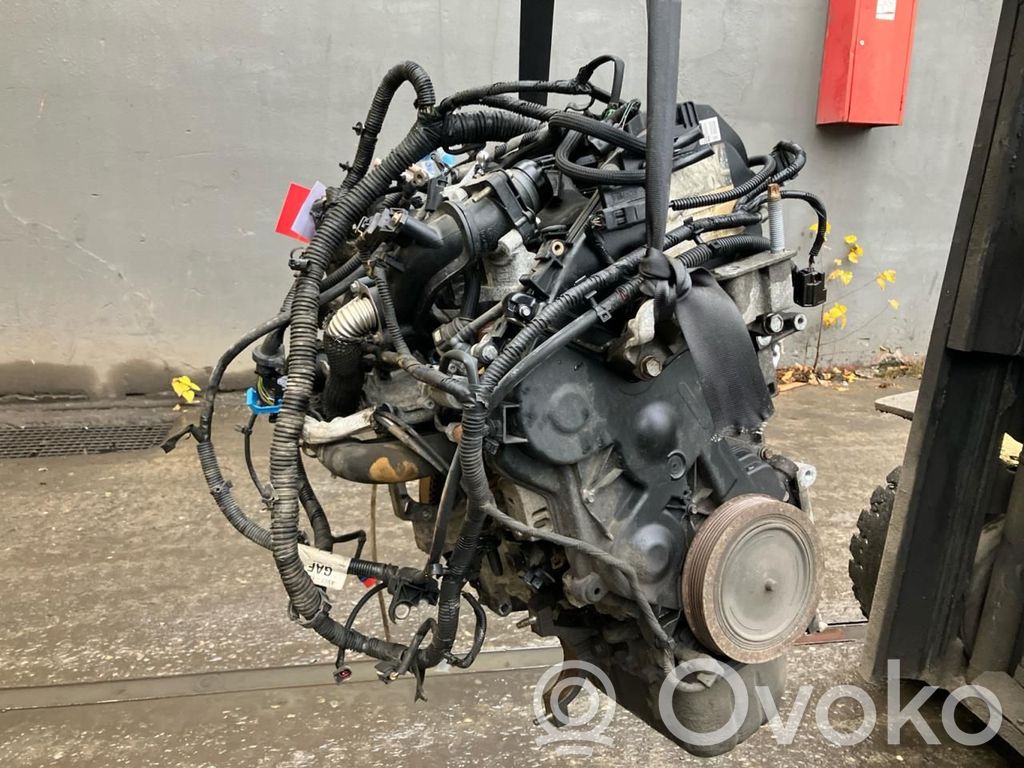 Ford Focus Engine 