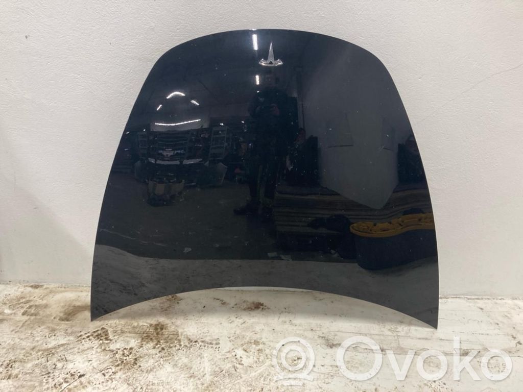 Tesla Model 3 Dzinēja pārsegs (vāks) 