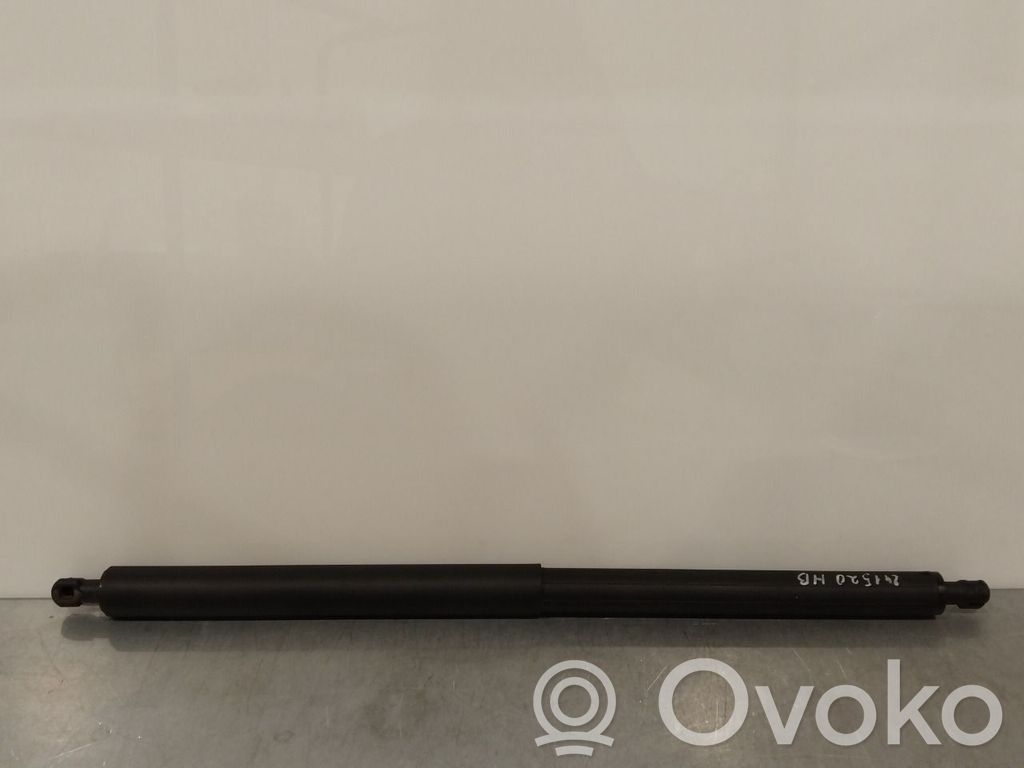 Tesla Model Y Ammortizzatore portellone posteriore/bagagliaio