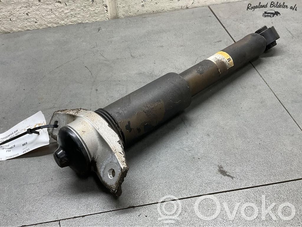 Nissan Ariya Stoßdämpfer hinten 