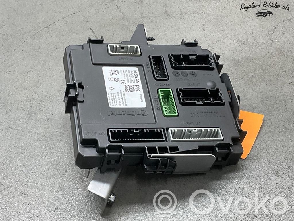 Nissan Ariya Autres unités de commande / modules 