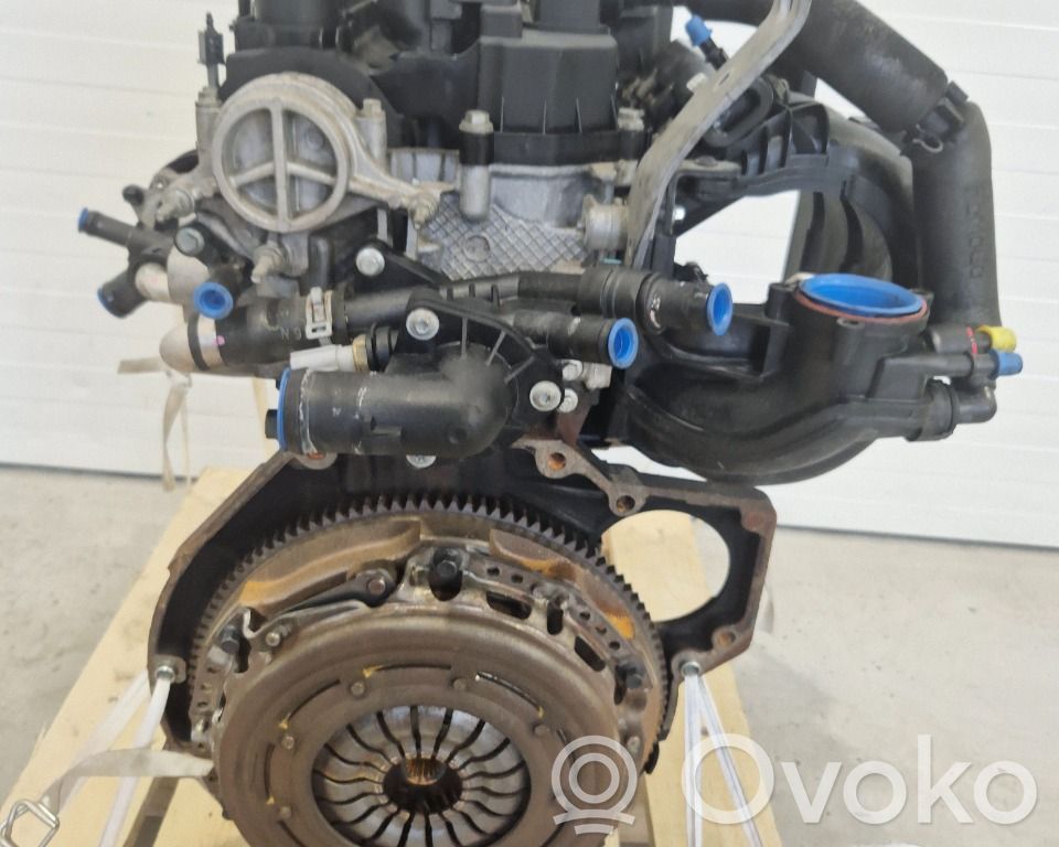 Ford Fiesta Variklis 
