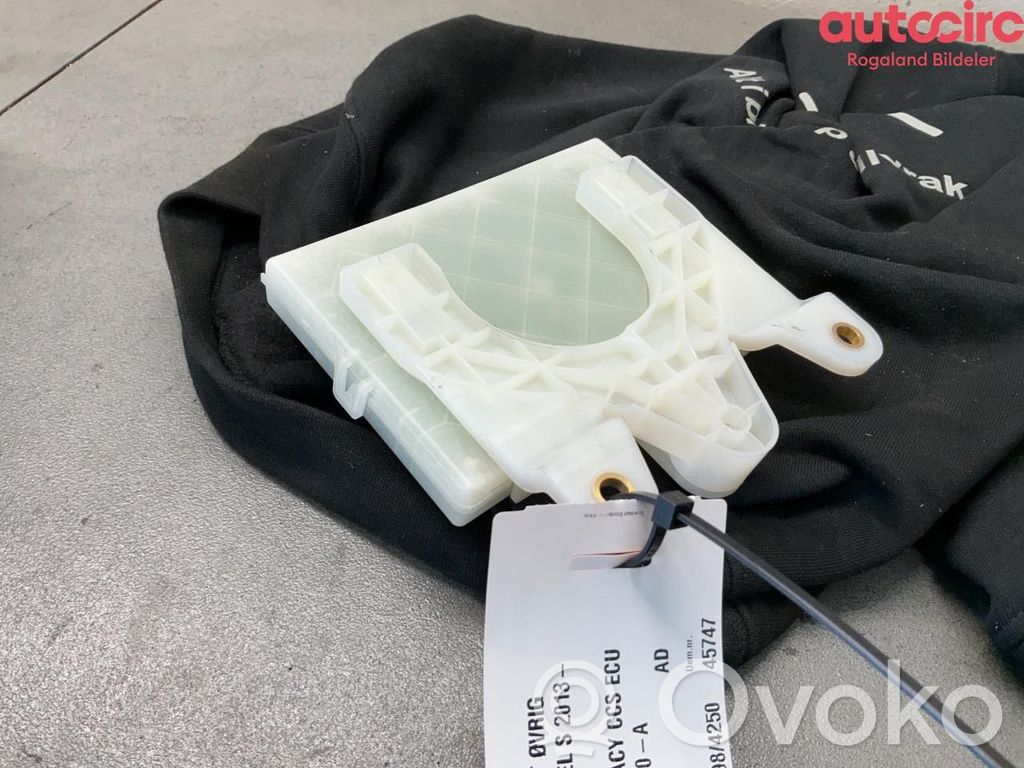 Tesla Model S Other control units/modules 