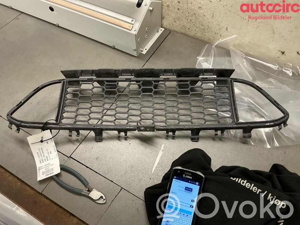 BMW 3 F30 F35 F31 Atrapa chłodnicy / Grill 