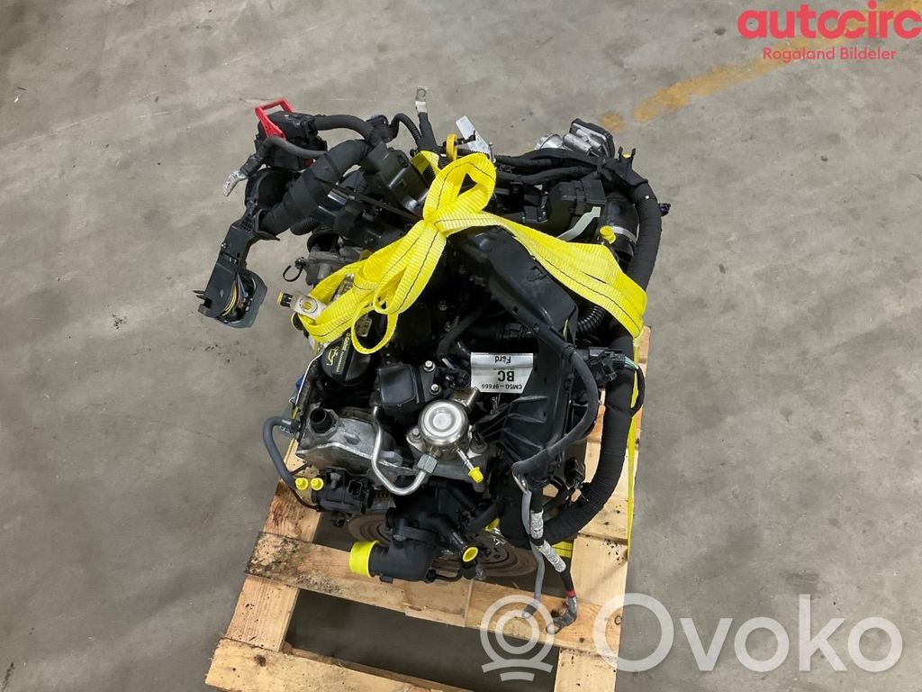 Ford Fiesta Moottori 