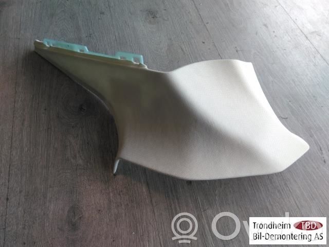 Tesla Model S Kita salono detalė 