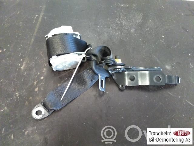 Cinturón trasero   101878900B,101878900B