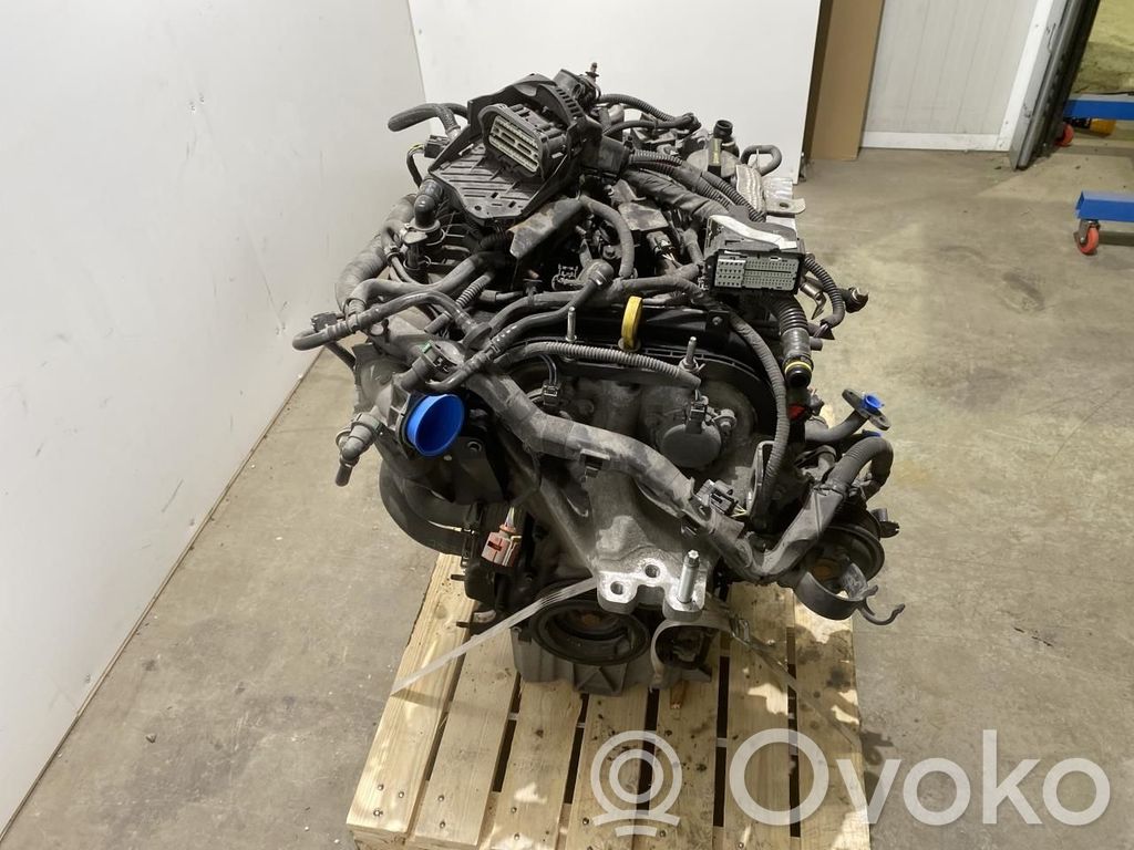 Ford Fiesta Variklis 