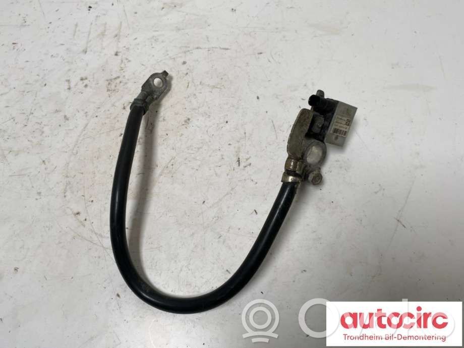 Ford Transit -  Tourneo Connect Akumuliatoriaus valdymo blokas 