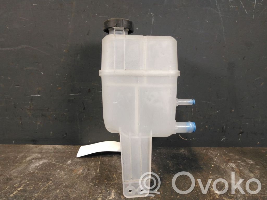 Hyundai Kona I Vaso di espansione carburante