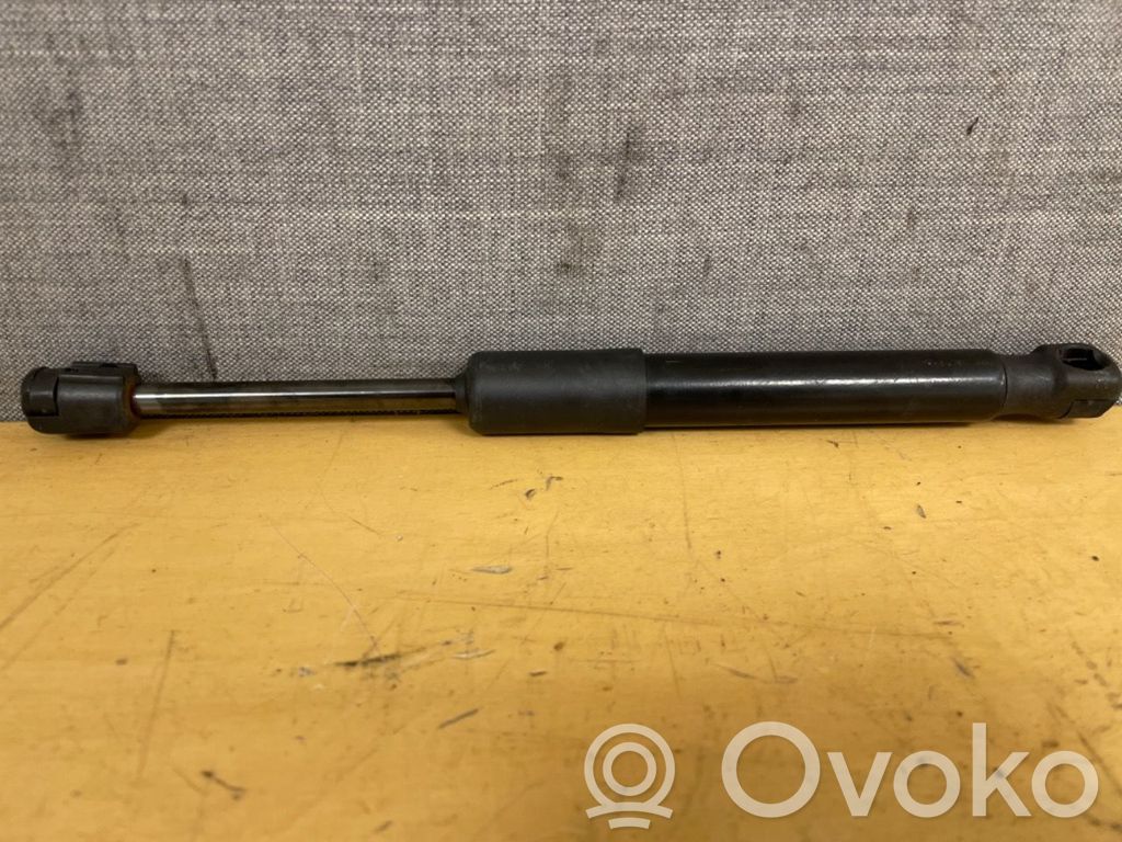 Tesla Model Y Dzinēja pārsega amortizators 