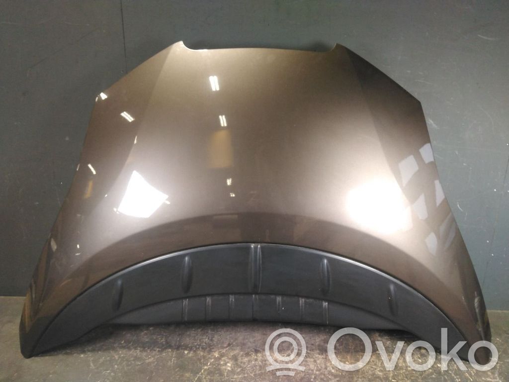 Nissan Leaf I (ZE0) Vano motore/cofano 